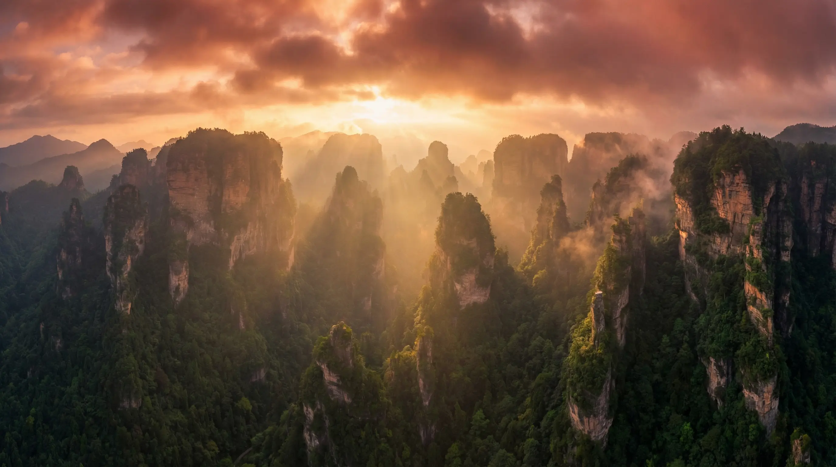 案发现场第一部下载 自然风光视频封面